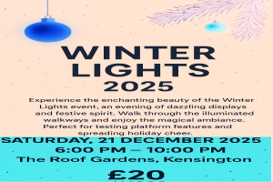 winter-lights-social-2025-image